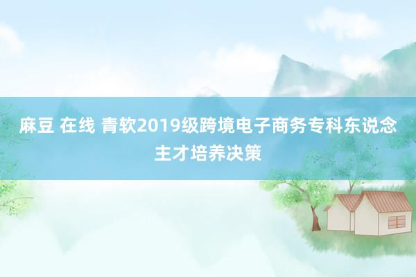 麻豆 在线 青软2019级跨境电子商务专科东说念主才培养决策