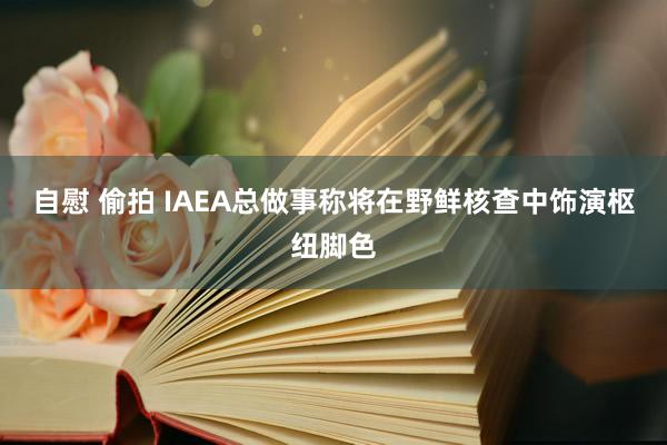 自慰 偷拍 IAEA总做事称将在野鲜核查中饰演枢纽脚色