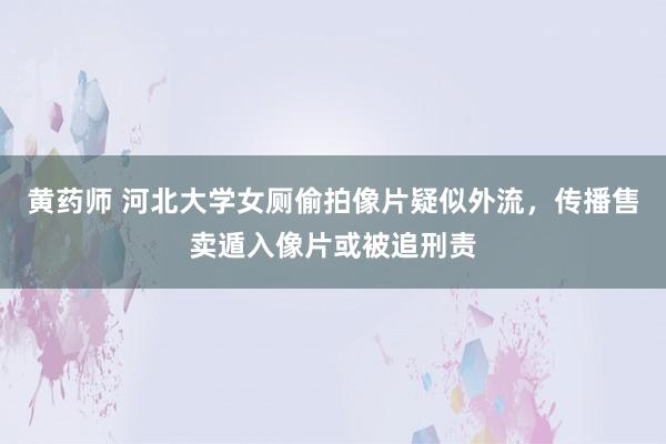 黄药师 河北大学女厕偷拍像片疑似外流，传播售卖遁入像片或被追刑责