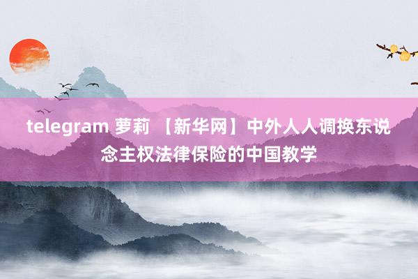 telegram 萝莉 【新华网】中外人人调换东说念主权法律保险的中国教学