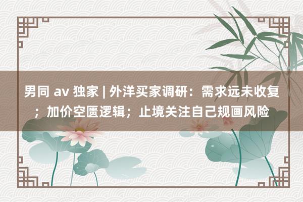 男同 av 独家 | 外洋买家调研：需求远未收复；加价空匮逻辑；止境关注自己规画风险